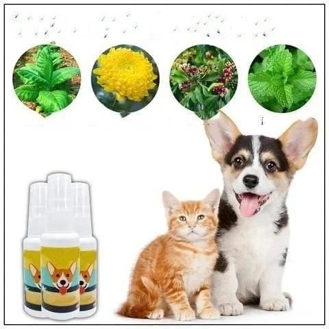 Potty Training Spray for Pets